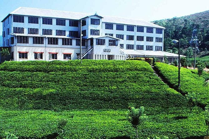 Tea Plantations & Tea Factory, Nuwara Eliya
